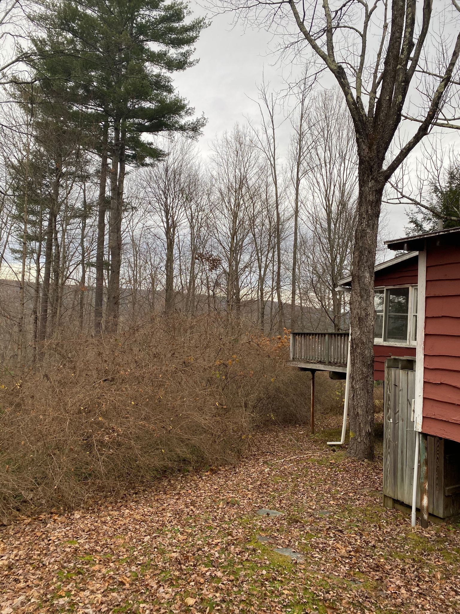 There is a red house in the middle of a forest.