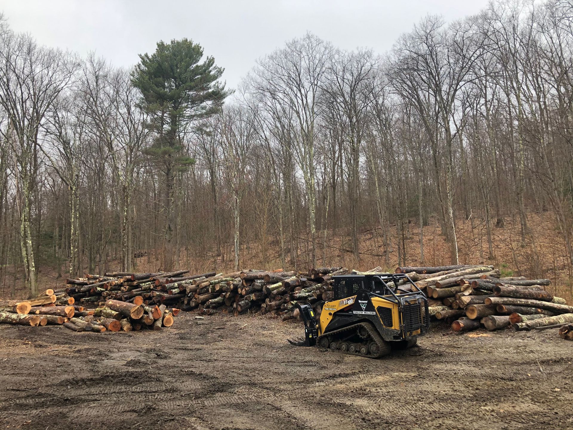 A bulldozer is sitting in a pile of logs in the middle of a forest.