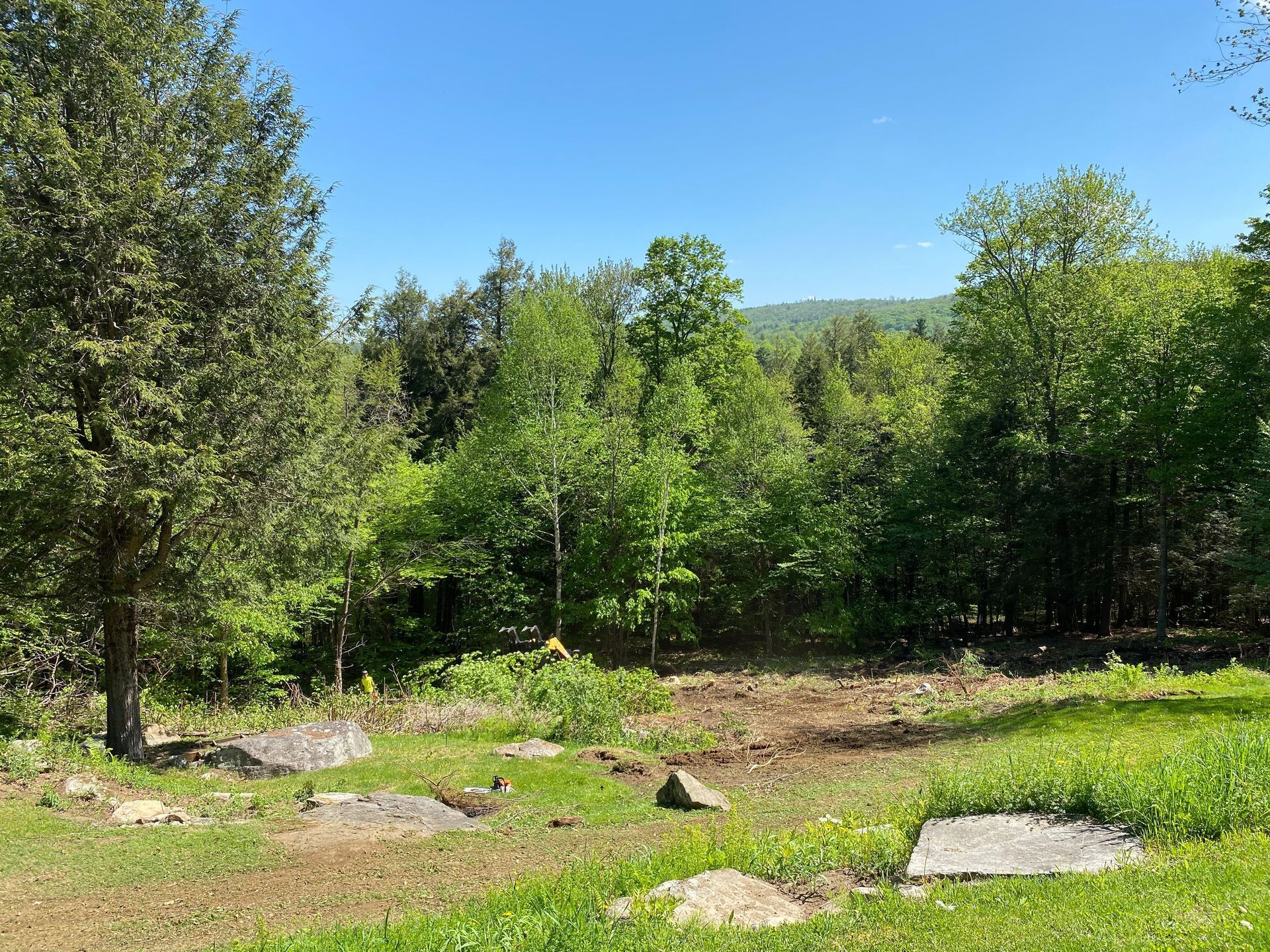 A lush green field surrounded by trees and rocks on a sunny day.