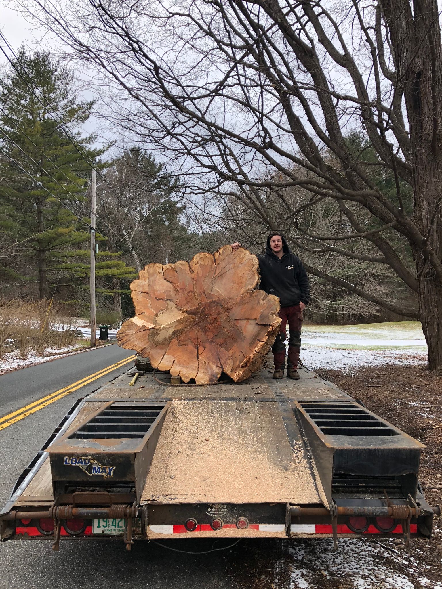 A man is standing next to a large tree stump on the back of a trailer.