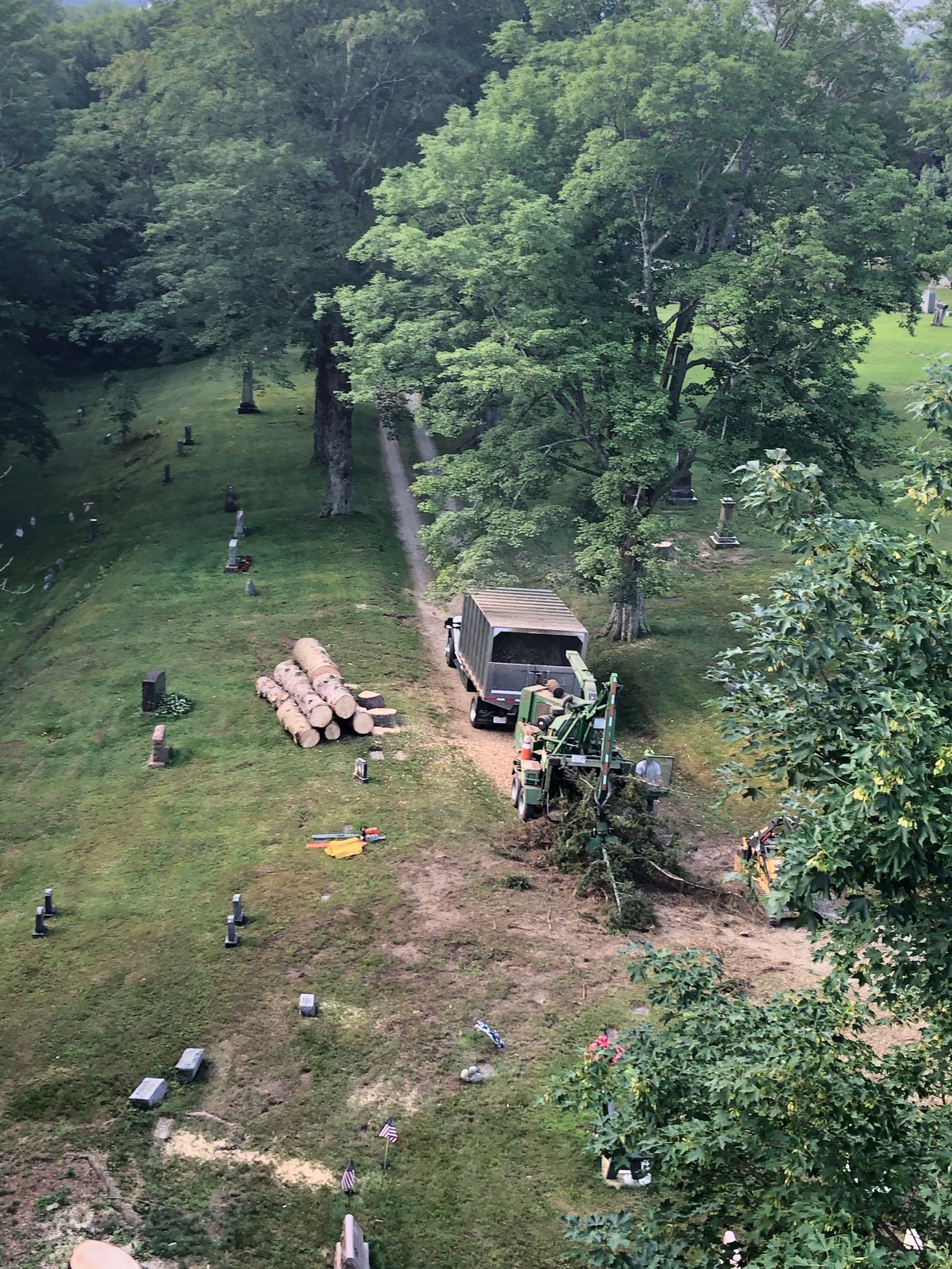 An aerial view of a trees with a van parked in the middle of it.
