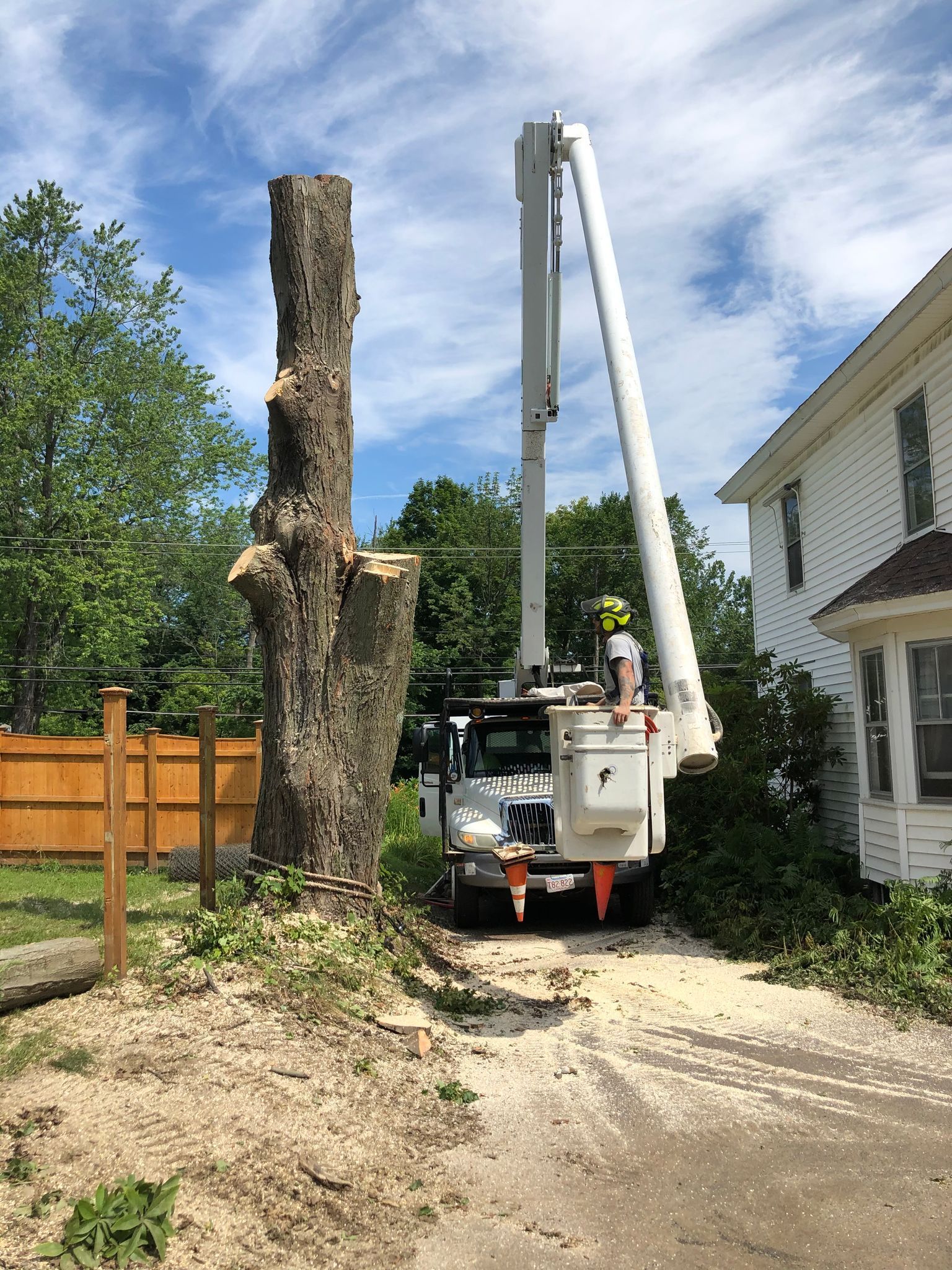 A crane is cutting down a tree in front of a house.
