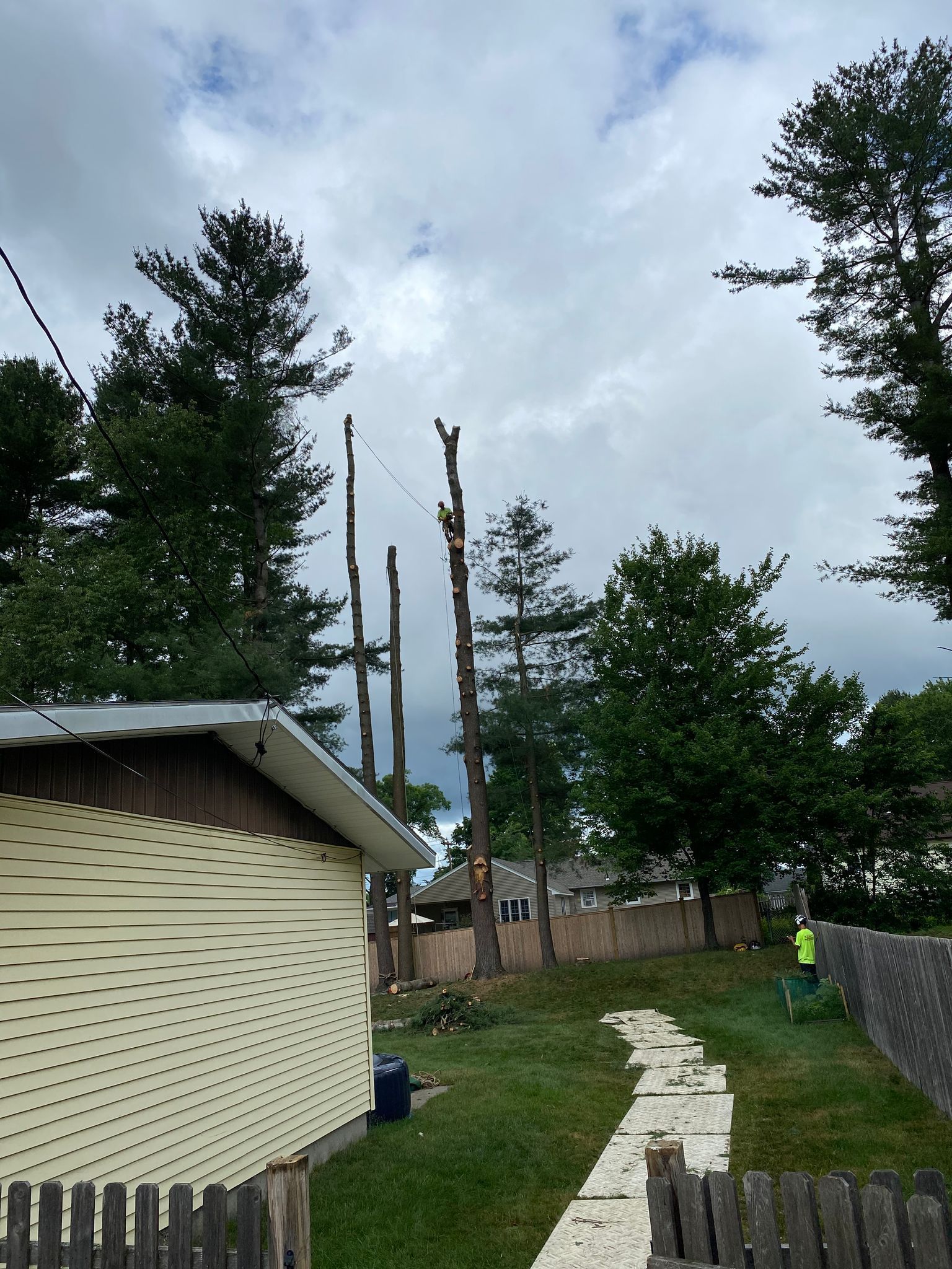 A tree is being cut down in front of a house