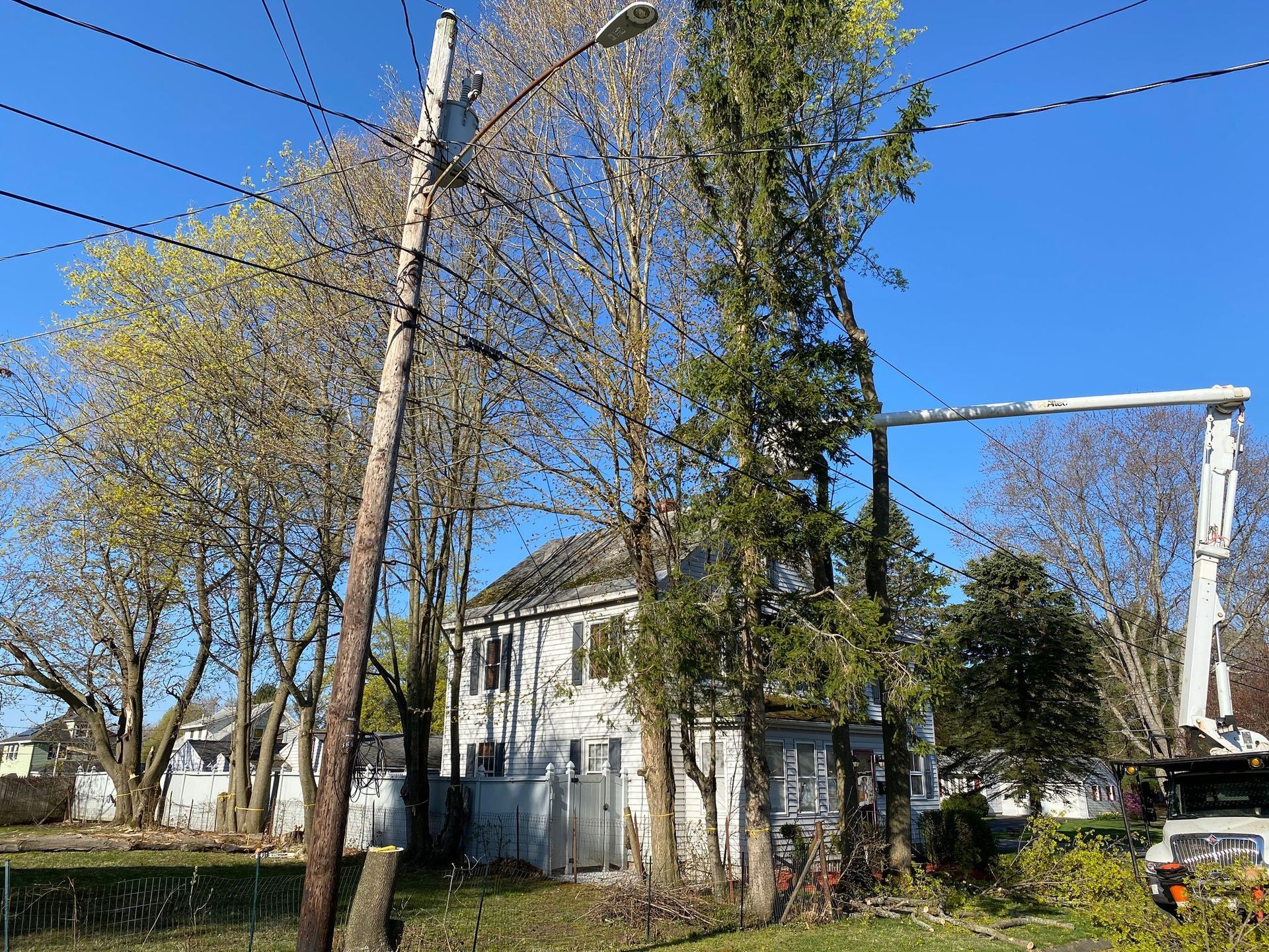 A crane is cutting a tree in front of a house.