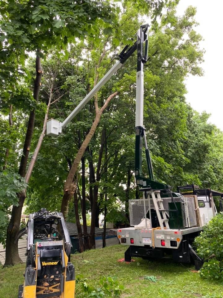 A crane is cutting a tree in a yard next to a bulldozer.
