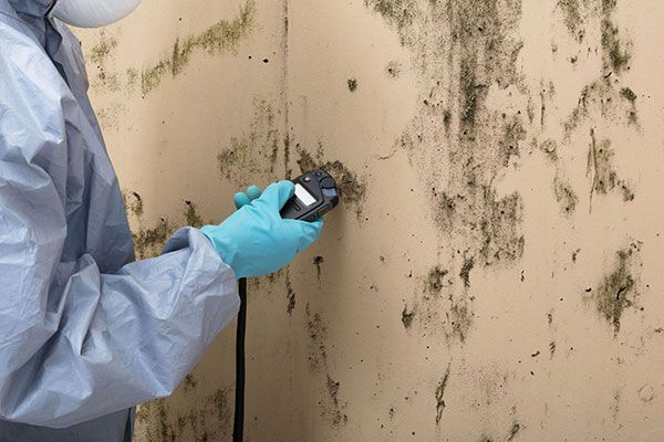 Person in protective suit testing mold on a wall with a moisture meter.