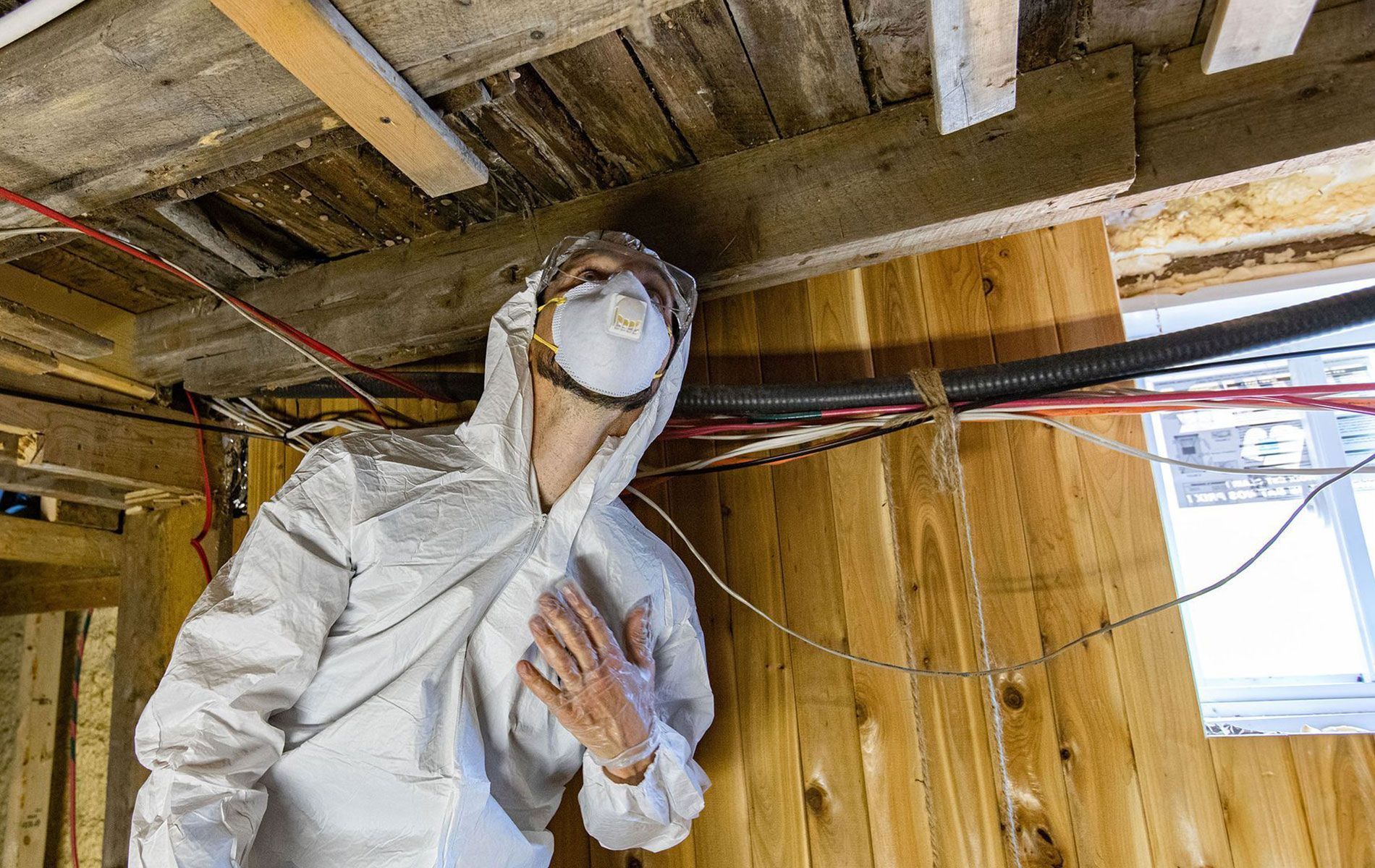 Mold Detection & Remediation Specialists, Inc