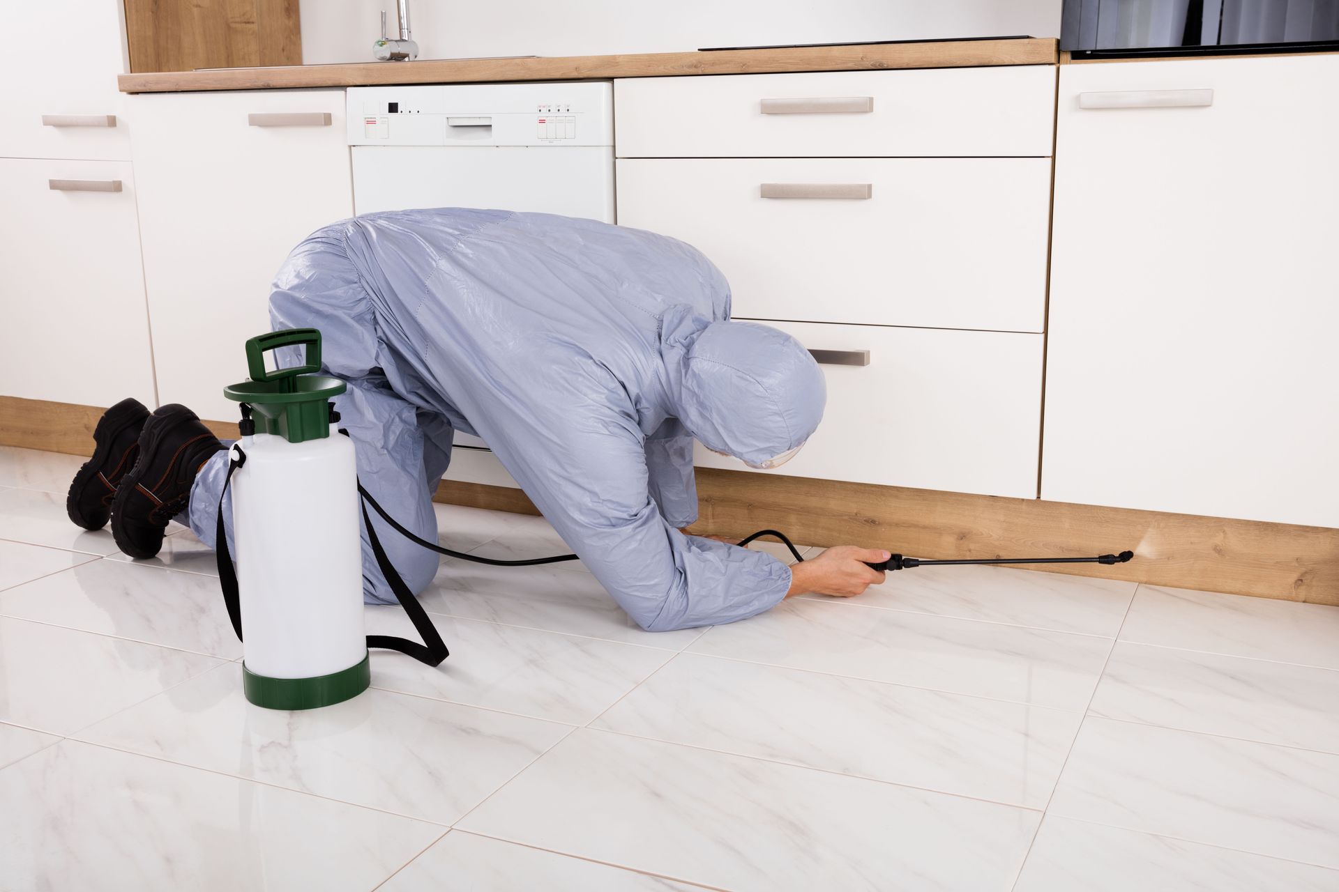 pest control