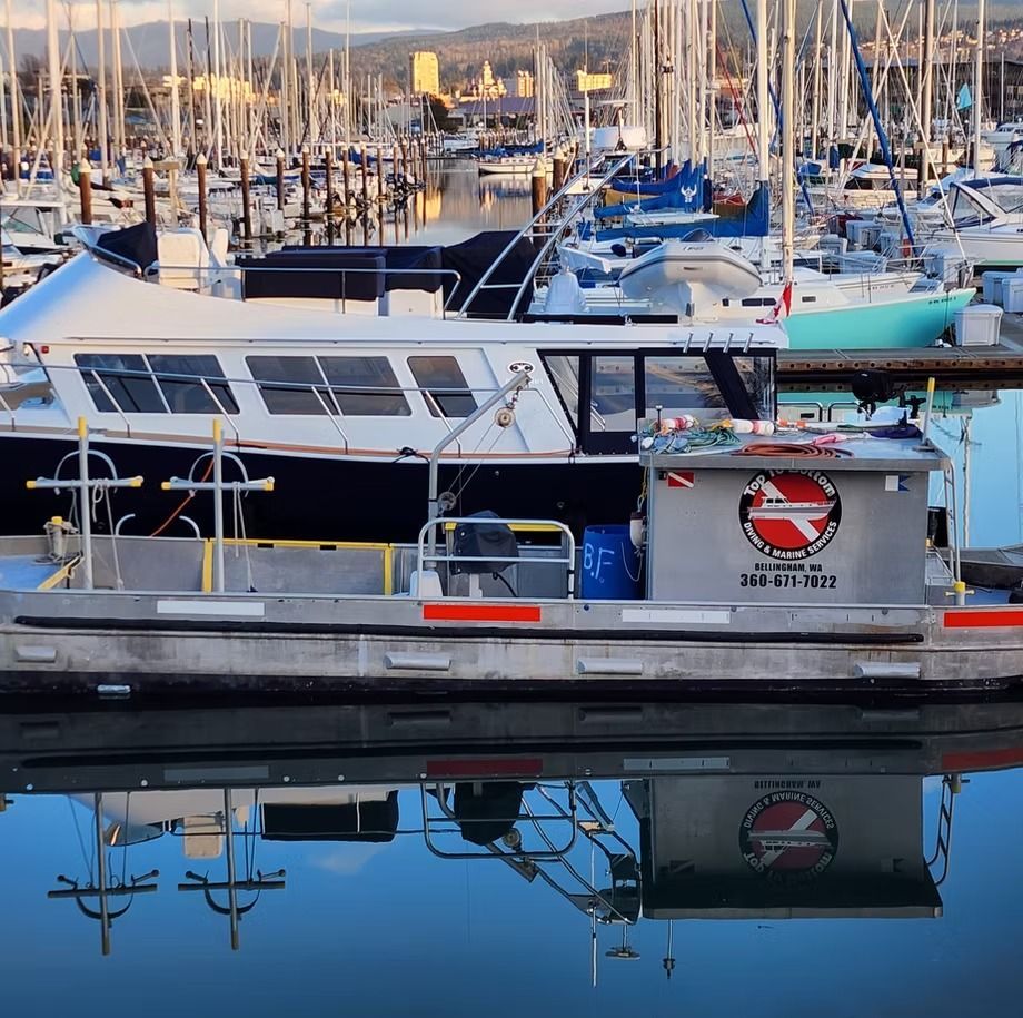 A boat with the number 316 on the side of it