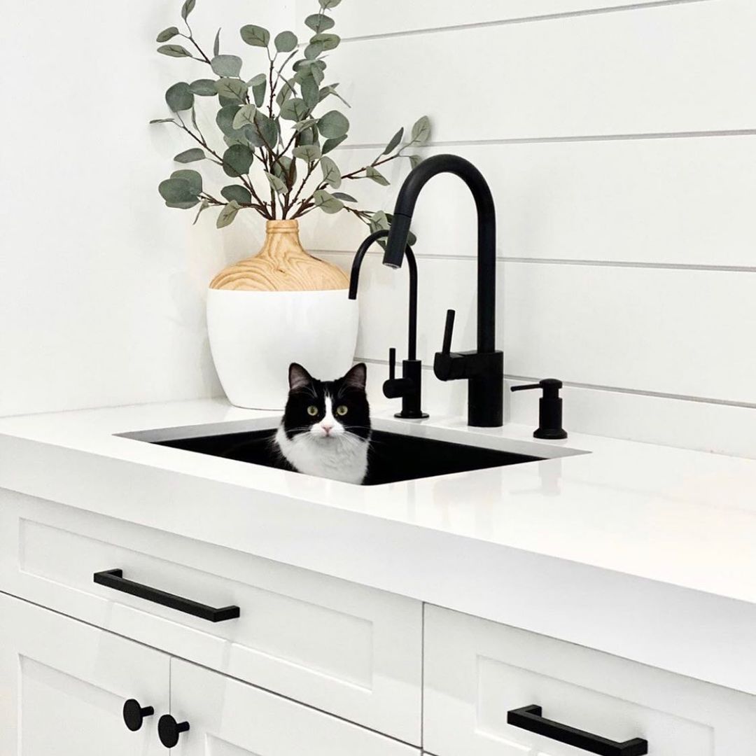 Black and white cat in a black sink. White countertop with black faucet and vase with greenery.