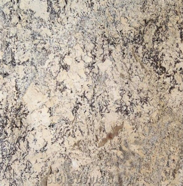 Cream-colored granite countertop with dark, branching patterns.