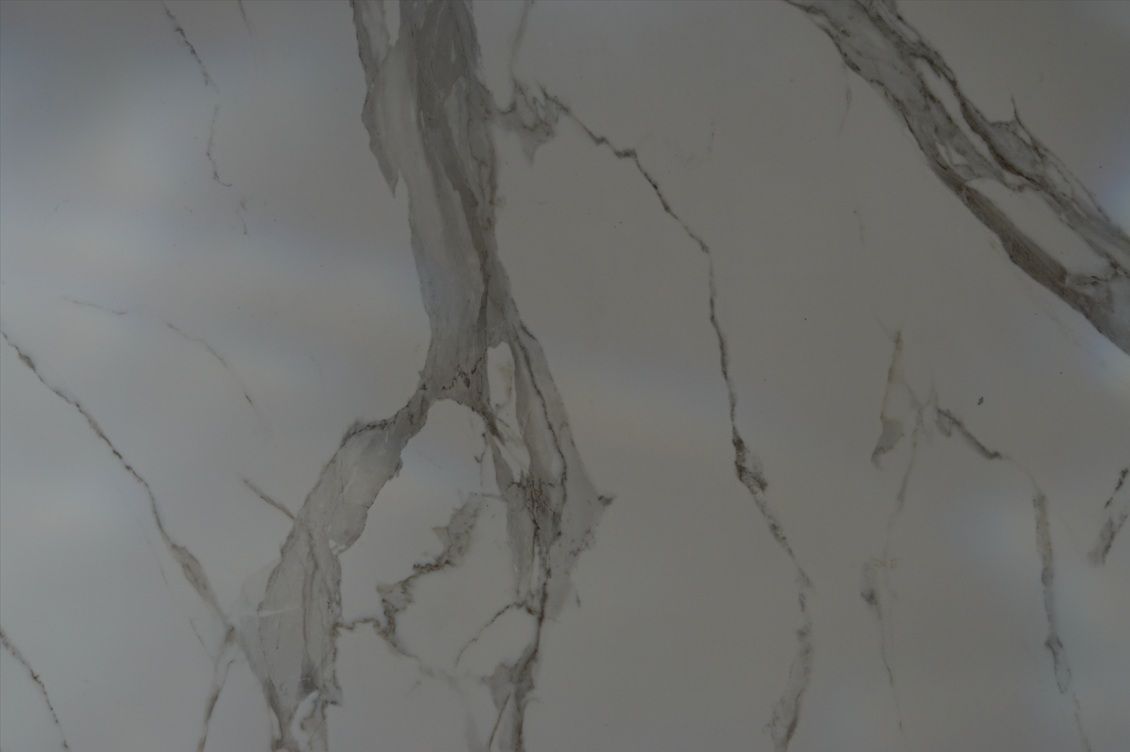 White marble with gray veining.