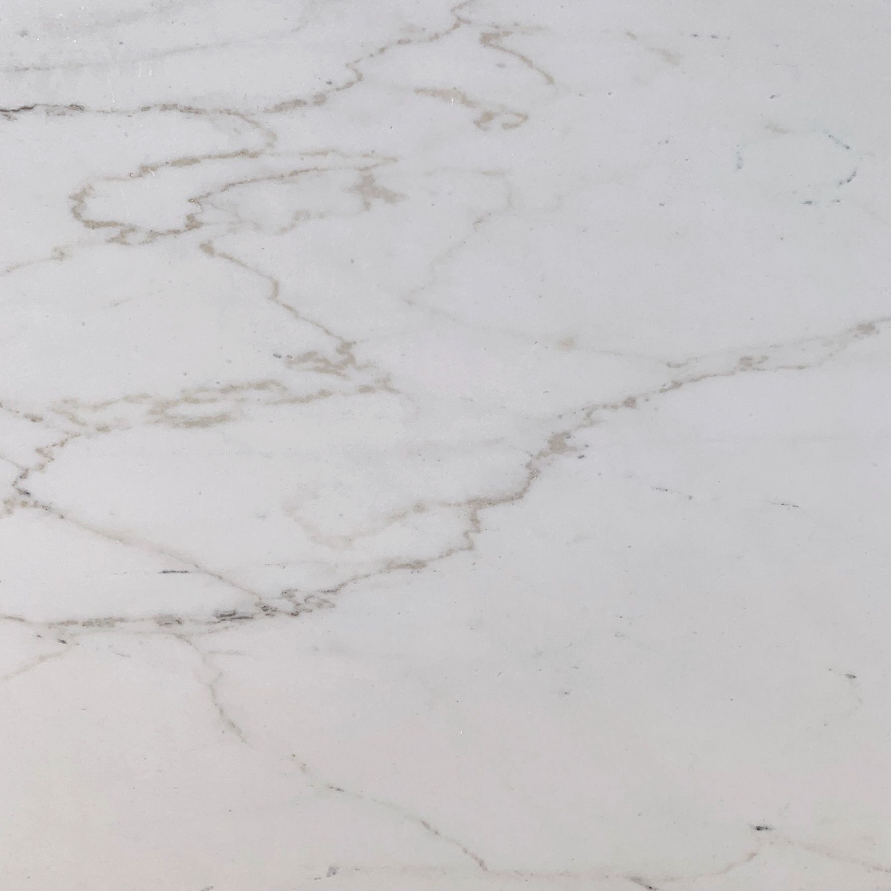 White marble countertop with gray veining.