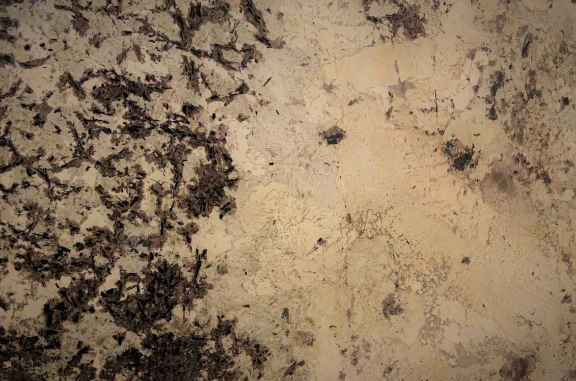 Granite countertop with dark brown and tan speckles.