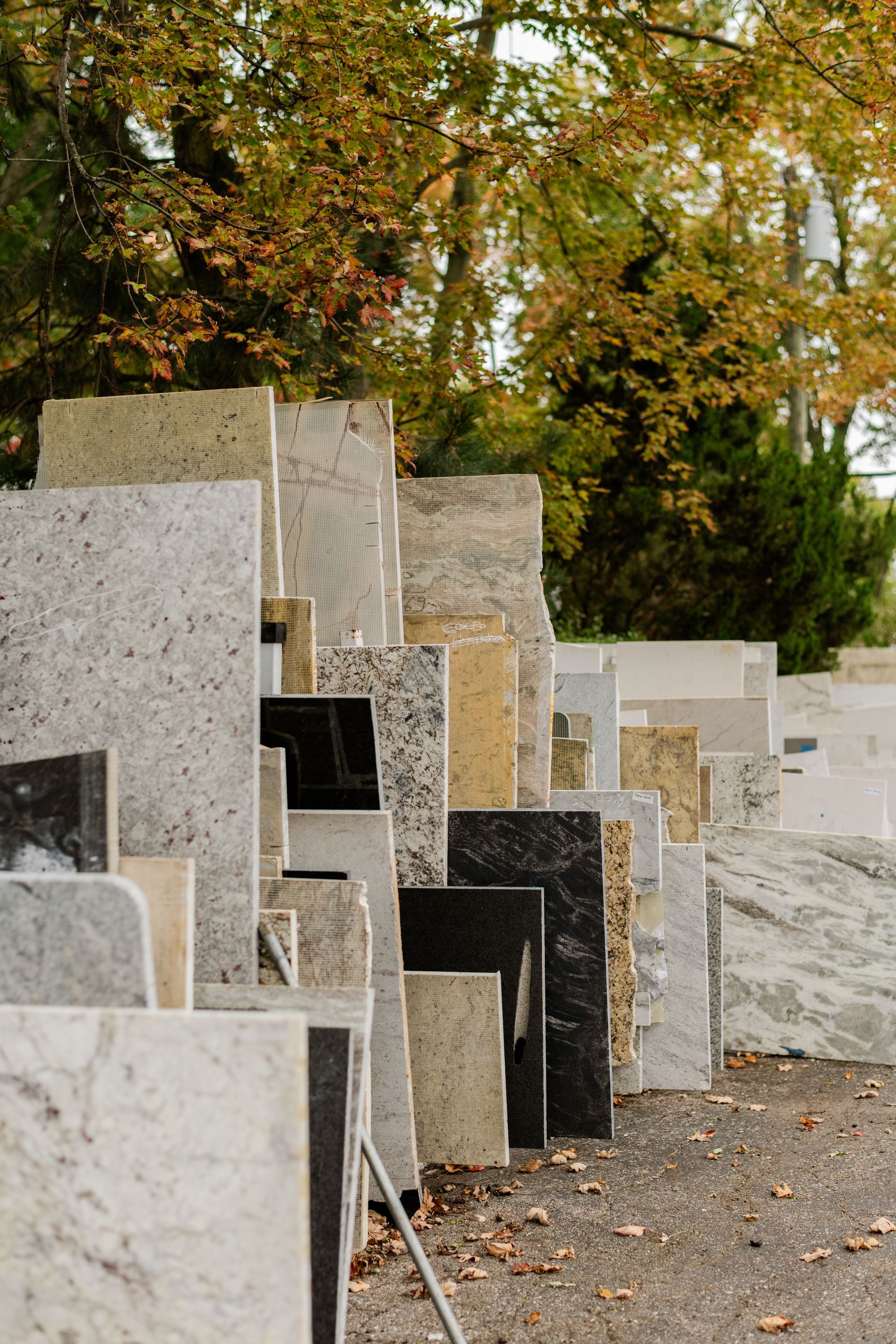 Rows of standing stone slabs in a wooded outdoor setting 