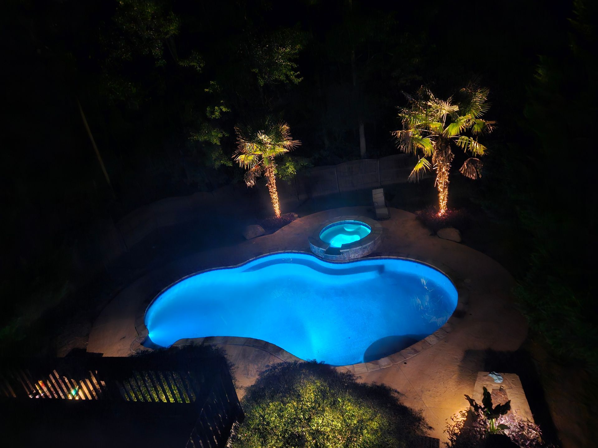 A large swimming pool is lit up at night with palm trees in the background.