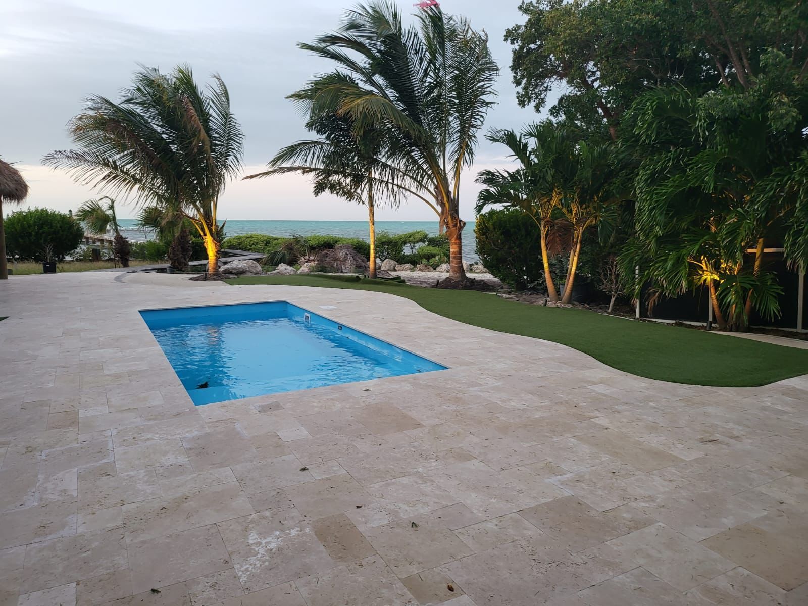 A large swimming pool is surrounded by palm trees and grass