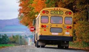 Yellow school bus on a road with autumn foliage, stop sign extended.