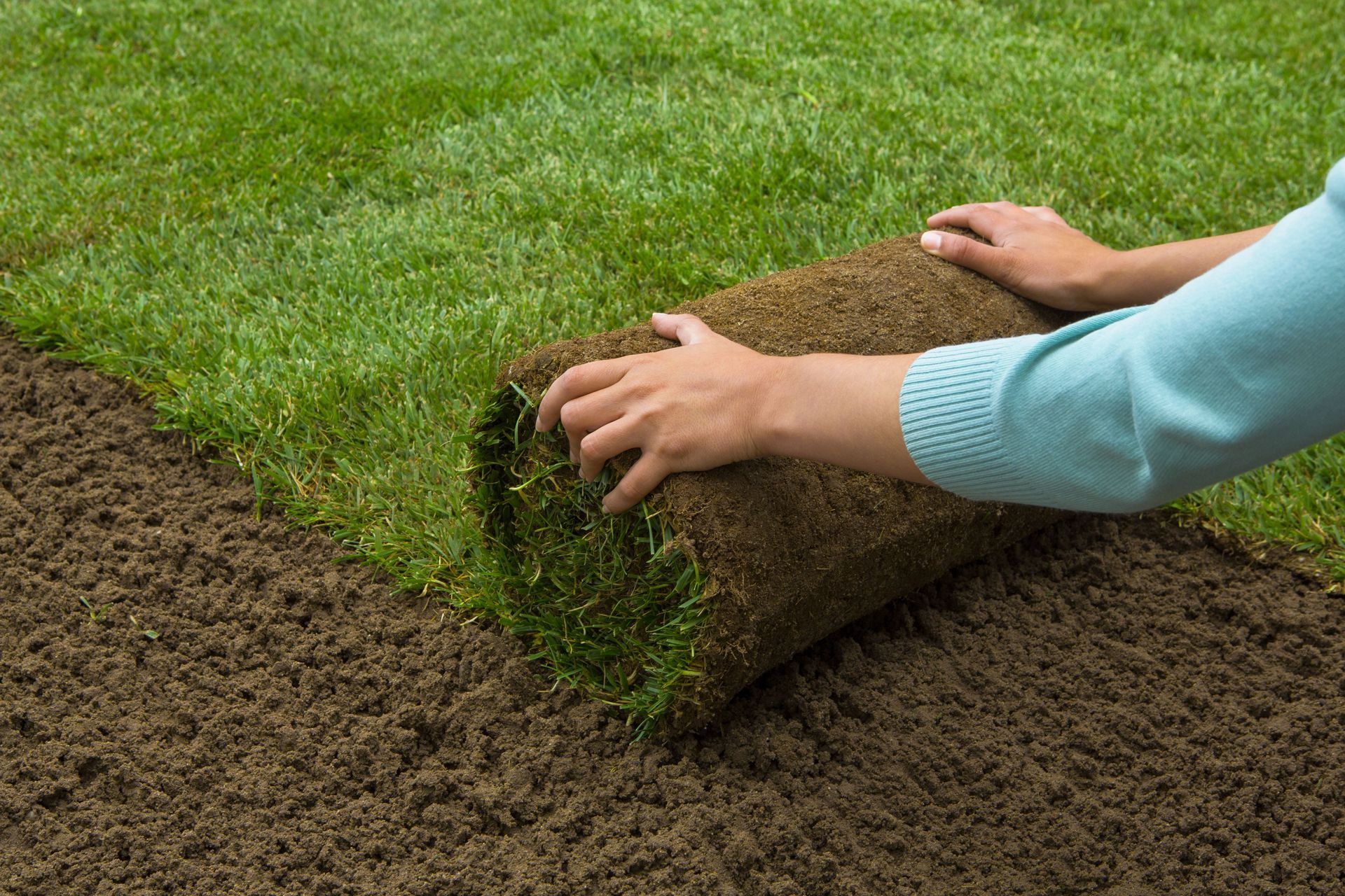 A person in a light blue shirt unrolls a strip of fresh green sod onto dark, prepared soil.