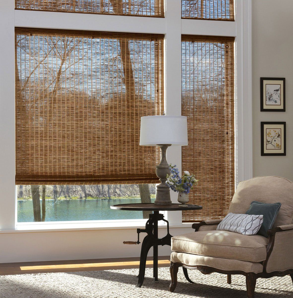 Motorized Blinds