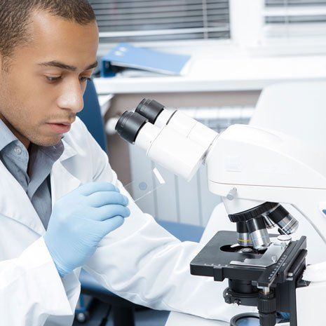 Learn more about Allergy Testing