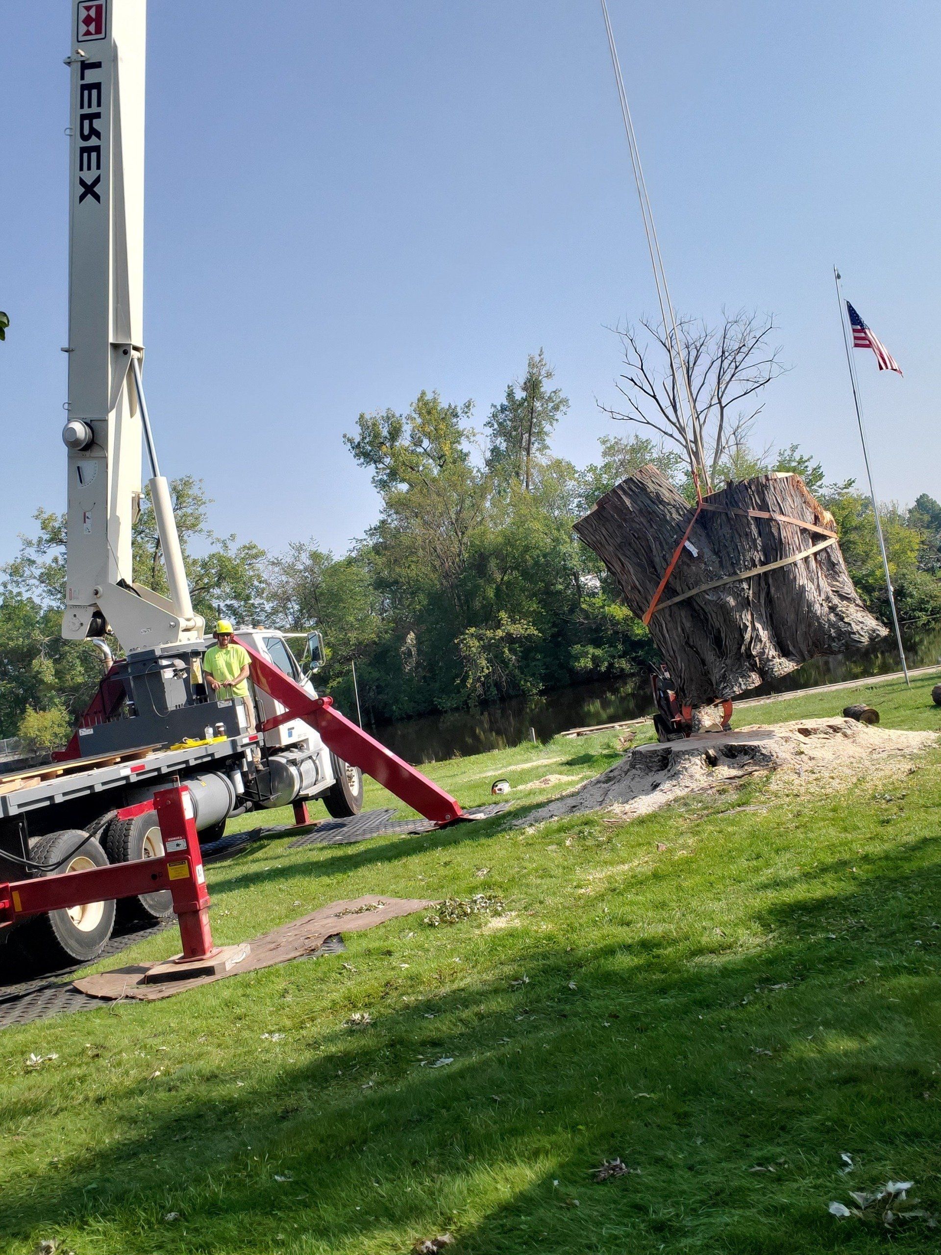Tree Service Fond du Lac WI Oshkosh WI DSH Tree Care LLC