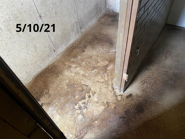 Custom Concrete Coatings