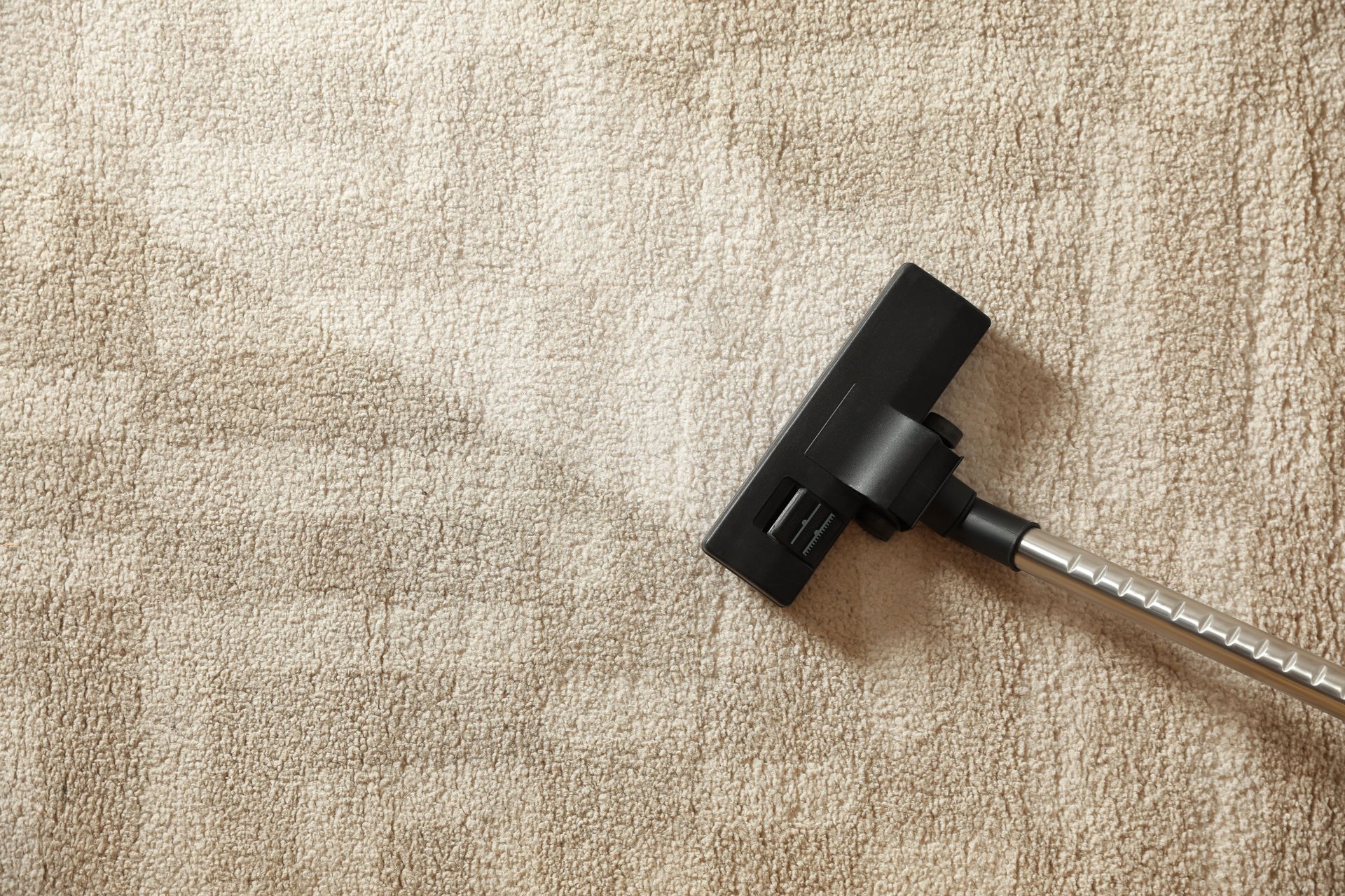 rug cleaner