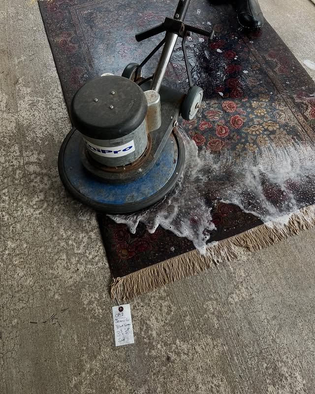 Rug being cleaned with a rotating scrubber, creating soapy water.