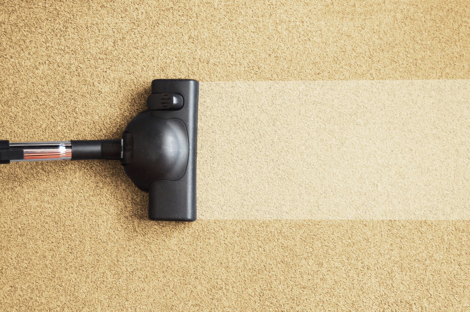 Vacuum cleaner cleaning a tan carpet, leaving a clean white strip.