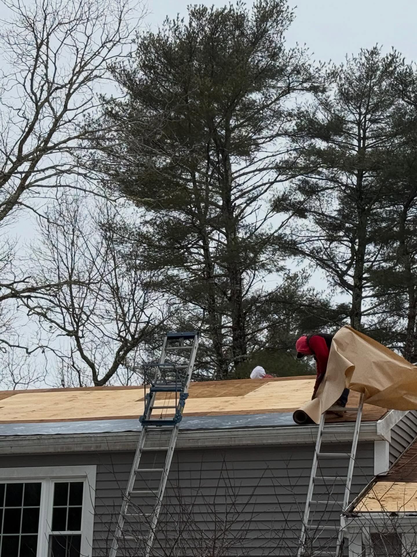 Roof Repair and Replace in Carver, MA