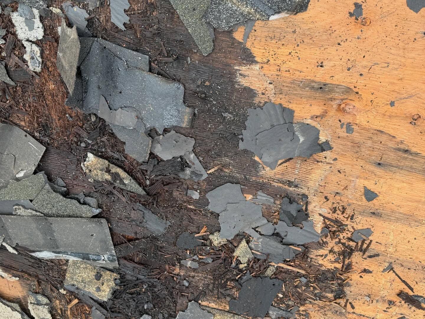 Roof Damage in Carver, MA