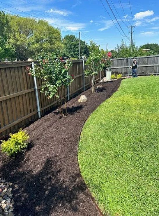 Backyard garden bed along a wooden fence with shrubs, mulch, and a green lawn under a blue sky