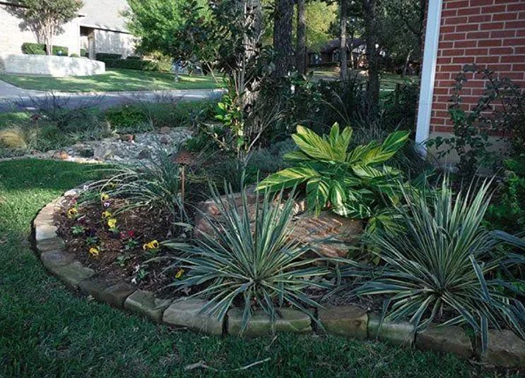 Curved garden bed with green and spiky plants along a brick house and lawn path
