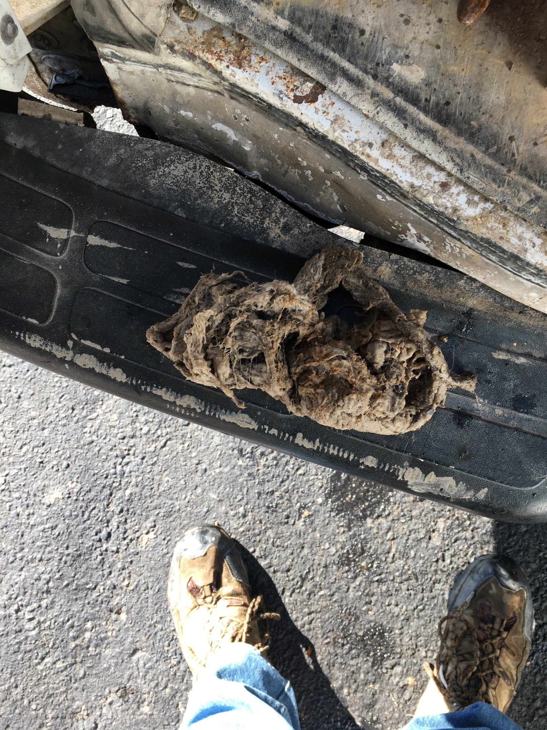 Sewer and drain repair services