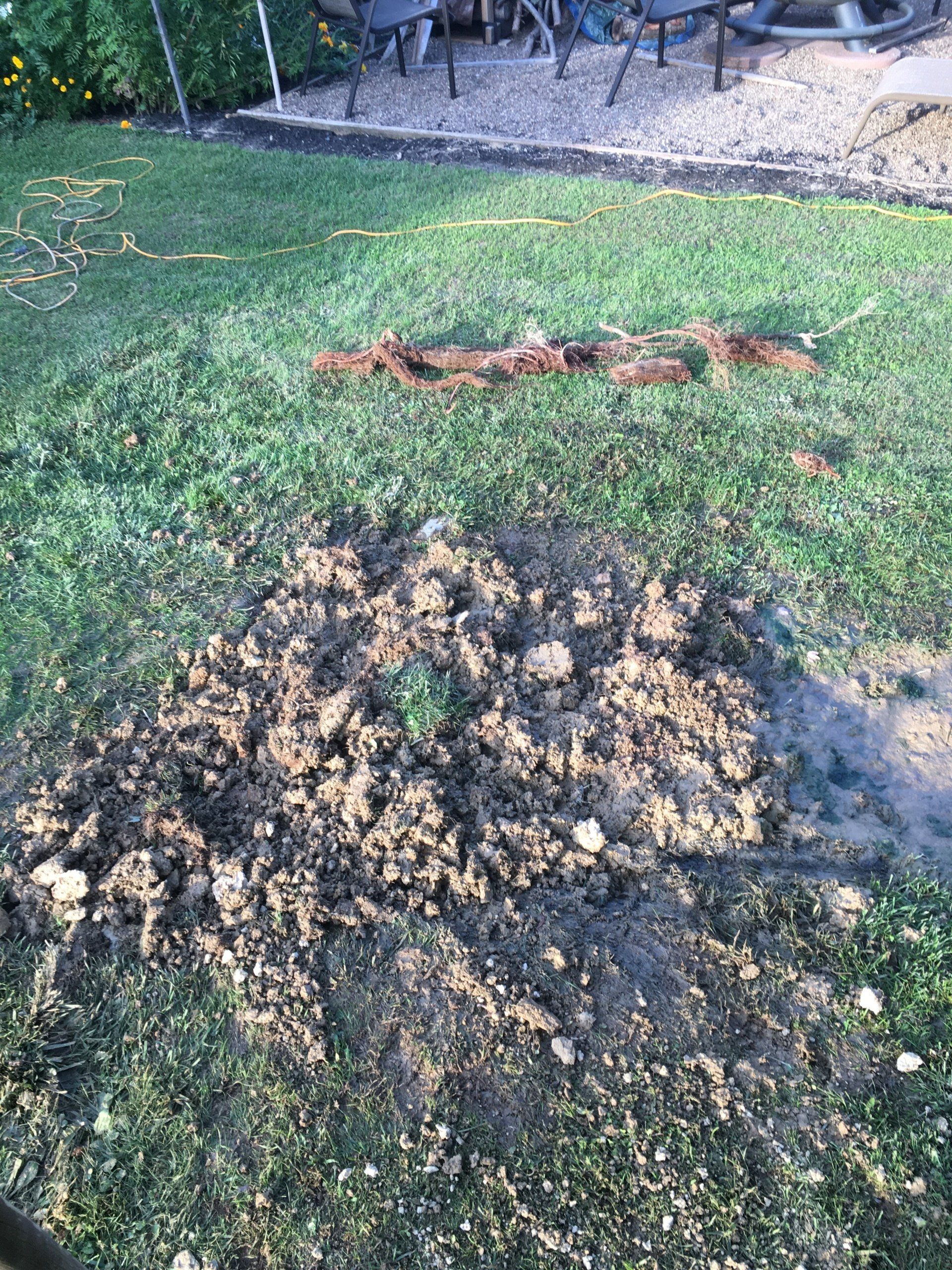 Sewer and drain repair services