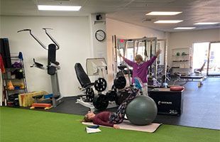 Professional Trainers