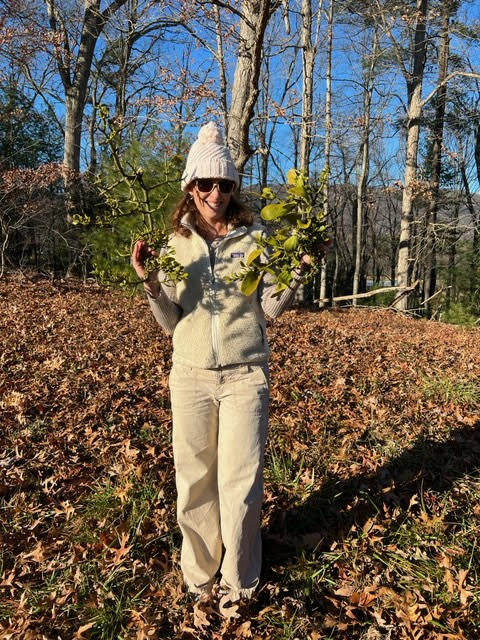 Spa Fit - Professional Trainers, Fitness Classes