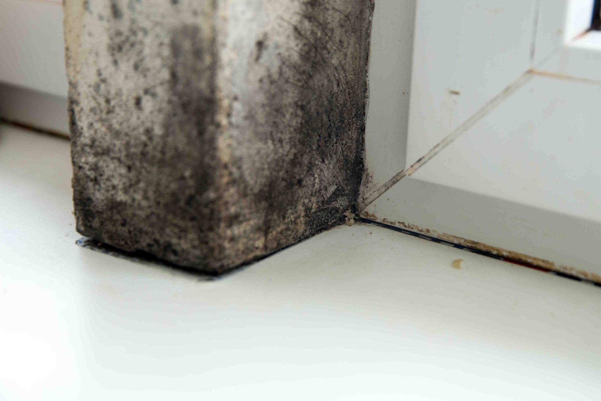 basement waterproofing