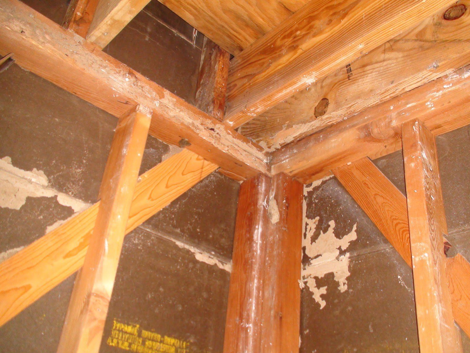 Framing damage from termites