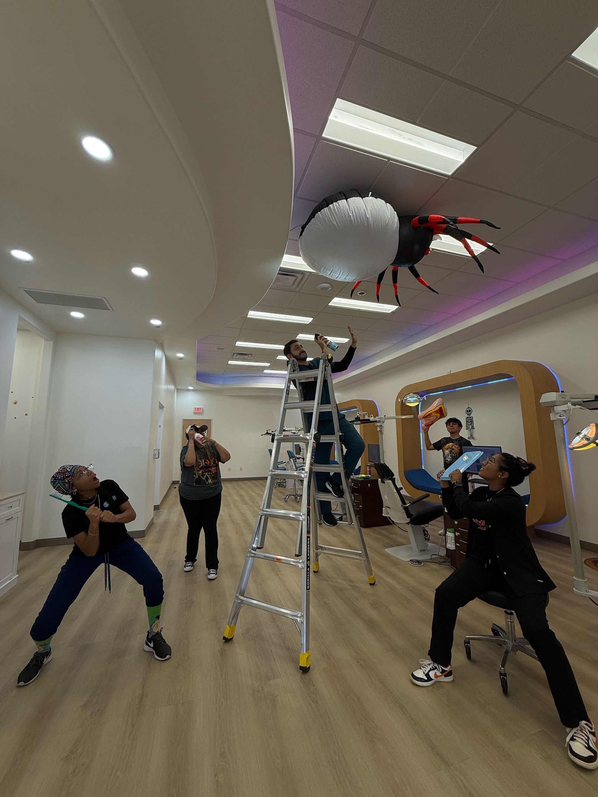 Four people in an office playfully pose as they reach toward a large, black-and-red spider decoration hanging from ceiling.