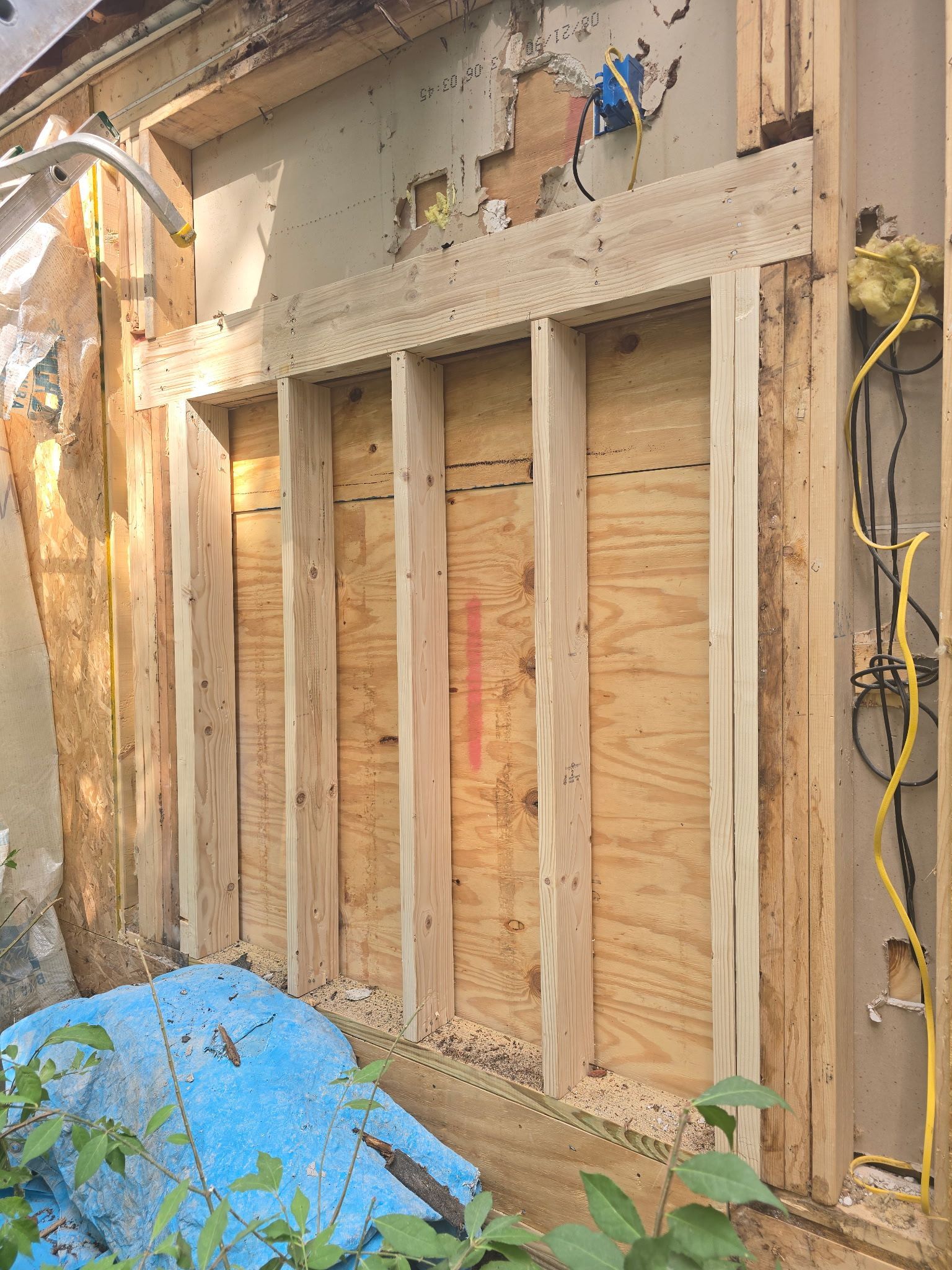 Partially framed wall inside a shed, with plywood sheathing and exposed wiring on the right