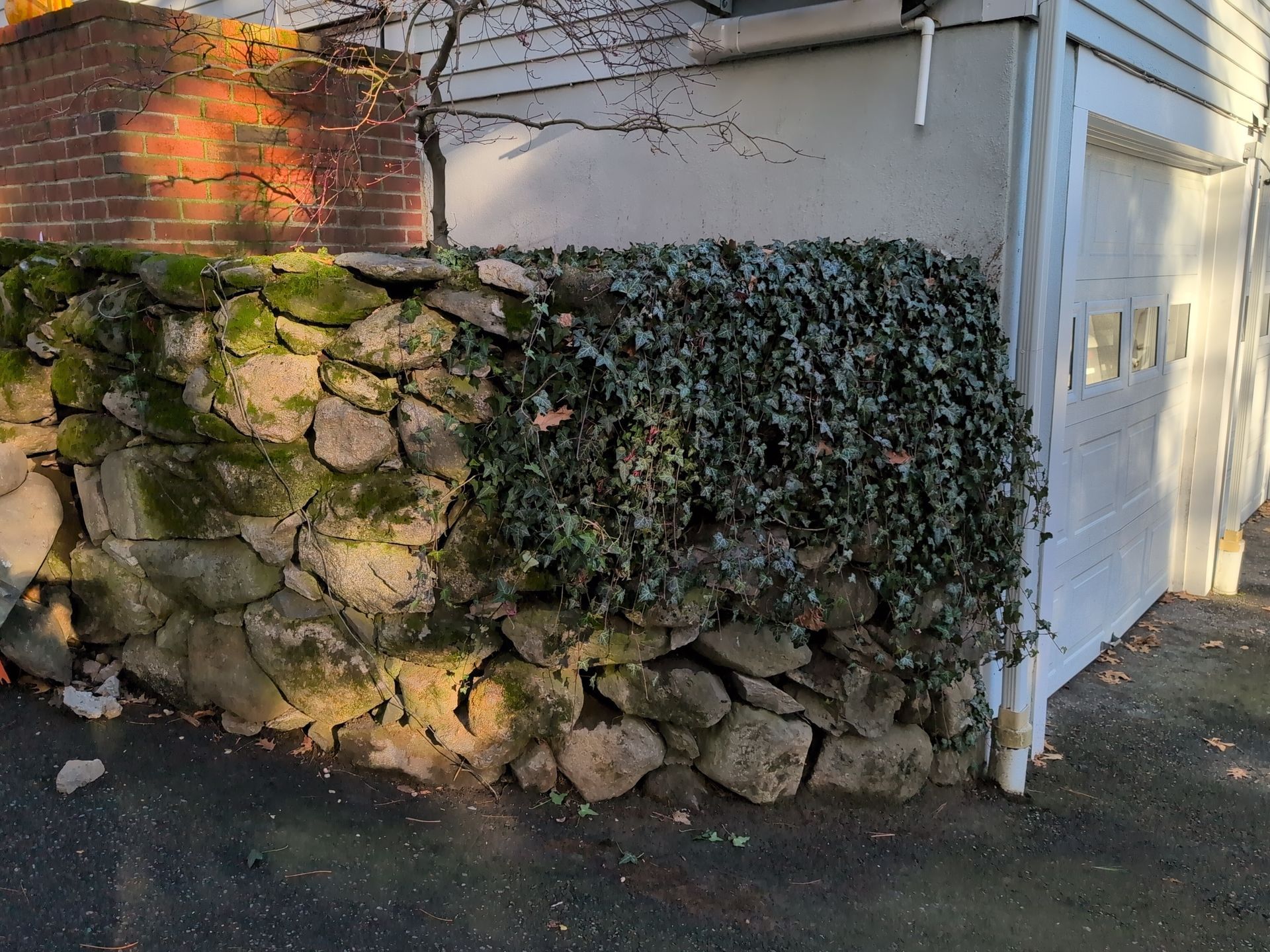 Stone wall covered with ivy beside a white building and paved walkway