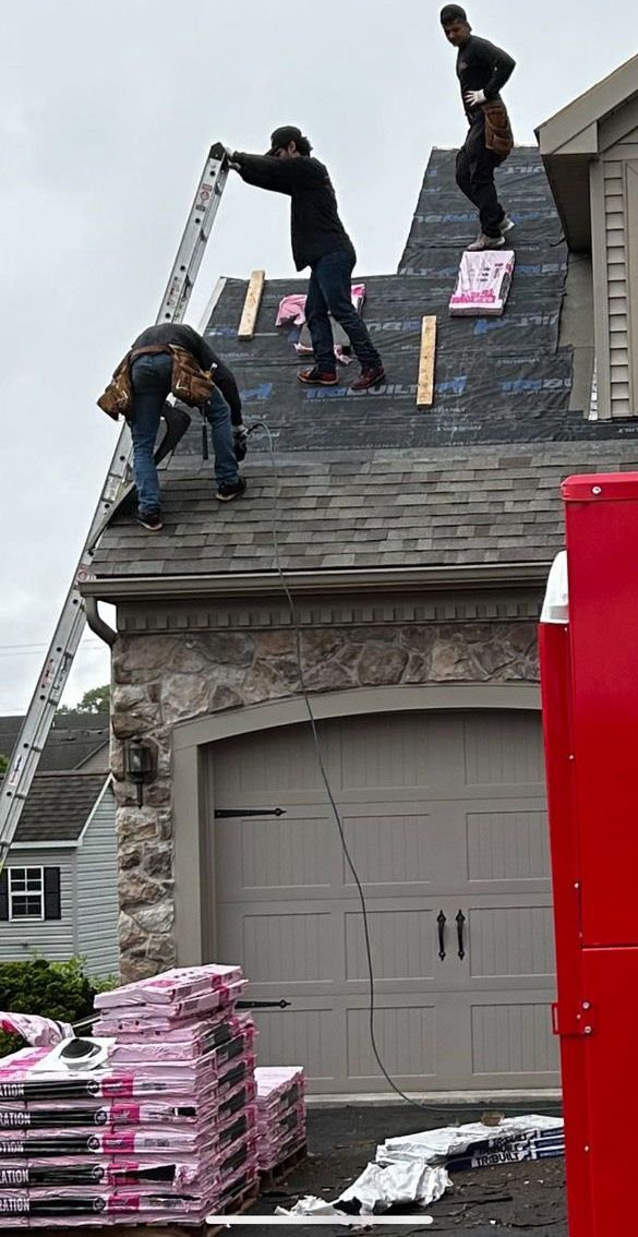 Roofers working on a house roof, carrying materials and climbing a ladder. Gray, cloudy sky overhead.