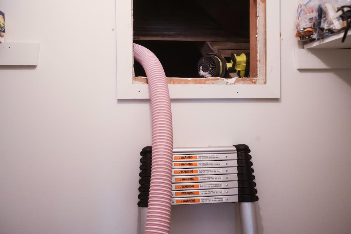 Pink hose extends from attic access to floor, over a folded ladder. A yellow and black tool is visible in the attic.