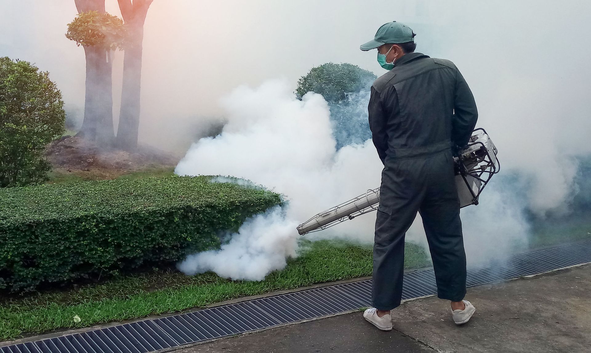 Person in dark workwear using a backpack sprayer to spray white mist along a hedge near a sidewalk