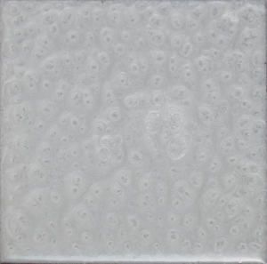 A close up of a white tile with a pattern on it.