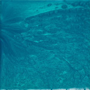 A blue tile with a picture of a whale in the water.