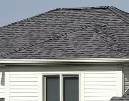 Gray shingle roof over a white house, with a window and gutter.