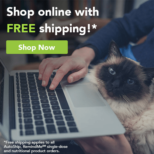 best online veterinary pharmacy